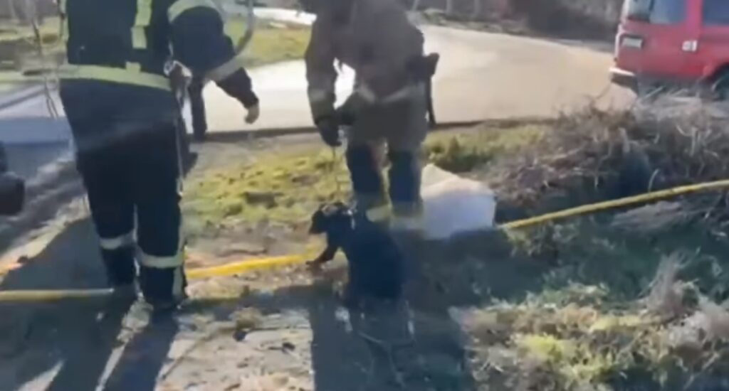 Это изображение имеет пустой атрибут alt; его имя файла - 20-Watch-Faceb234234ook-Opera-1024x550.jpg