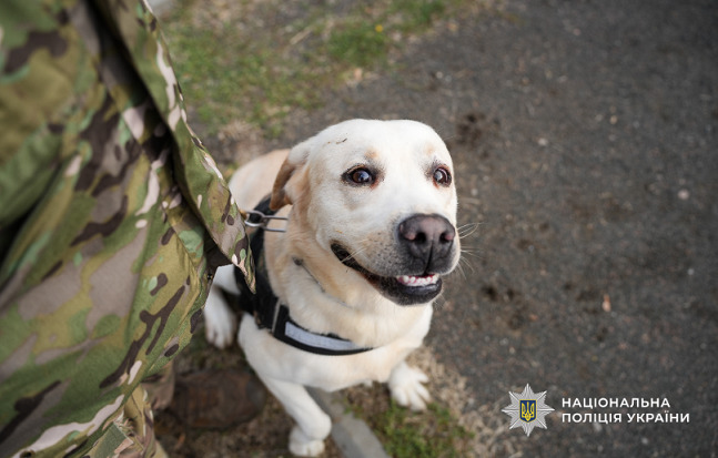 Це зображення має порожній атрибут alt; ім'я файлу Bezymyannyj-1-15.jpg